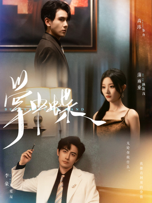 掌中蝶(84集) 掌中蝶(84集)小短剧抢先看