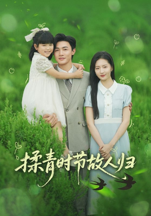 揉青时节故人归（60集）免费短剧看不停