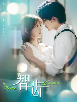 智齿（59集）无需会员免费看