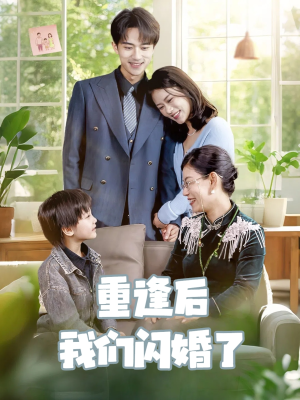 重逢后我们闪婚了(35集) 重逢后我们闪婚了(35集)免费看短剧全集