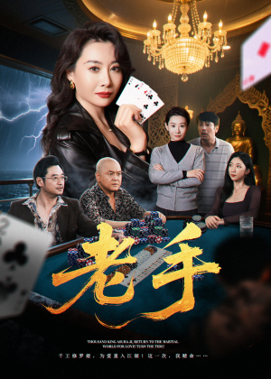 老手（36集）免费短剧完整版