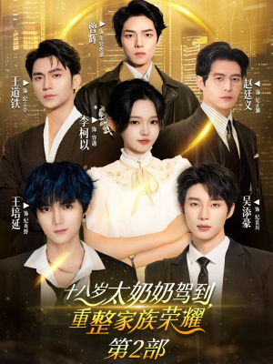 十八岁太奶奶驾到重整家族荣耀2（100集）在哪里看