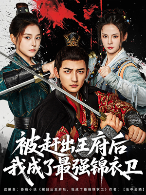 被赶出王府后我成了最强锦衣卫（80集）追风的女孩短剧