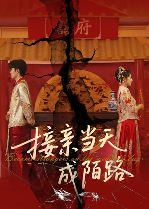 接亲当天成陌路（50集）海量短剧免费看
