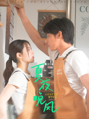 夏夜晚风（12集）免费短剧完整版