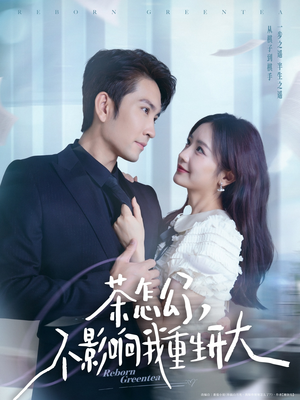 茶怎么了不影响我重生开大（80集）爱上了这部剧了