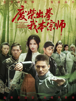 废柴出拳我本宗师（61集）这部短剧太好看