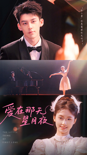 爱在那天星月夜（46集）高分佳作免费看