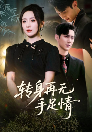 转身再无手足情（71集）在哪个app能看