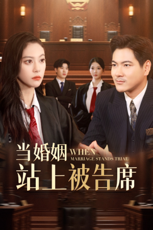 当婚姻站上被告席（30集）免费短剧合集