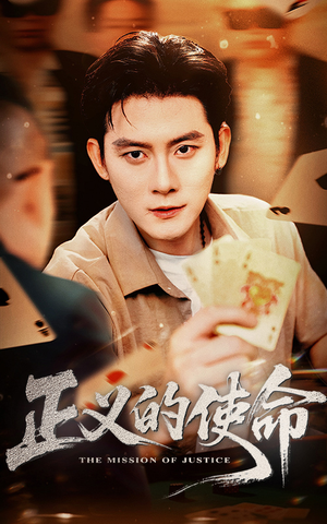 正义的使命（50集）在线播放