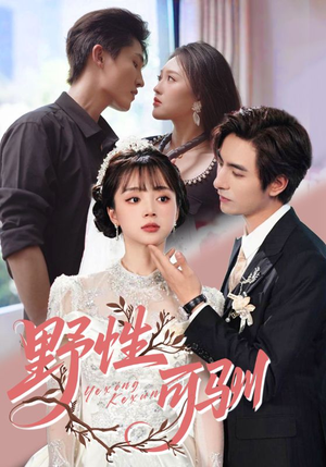 野性可驯（63集）80到100集