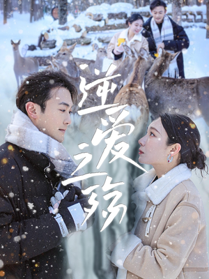 逆爱之殇（60集）超好看的短剧