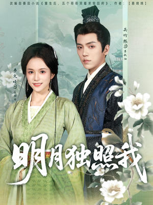 明月独照我（80集）短剧在线看