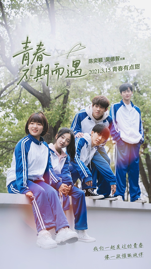 青春不期而遇（50集）精彩短剧天天看