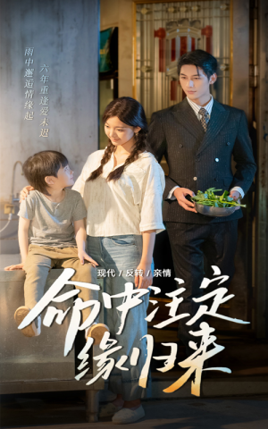 命中注定缘归来（63集）短剧全集抢先看