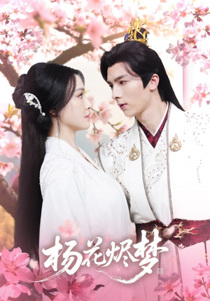 扬花烬梦（68集）大结局一气呵成