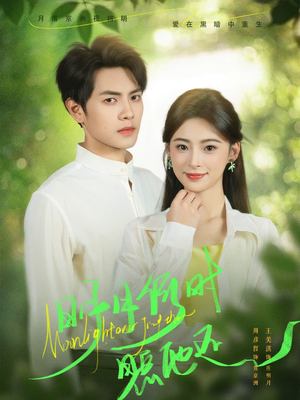 明月何时照他还（73集）小短剧推荐