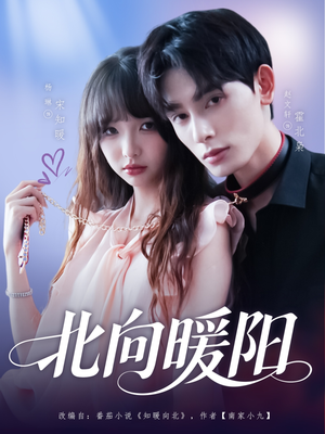 北向暖阳（80集）超级好看的短剧
