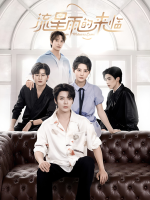 流星雨的来临（40集）全集都在这里了