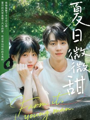 夏日微微甜（79集）好看的短剧电影