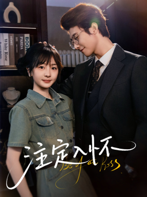 注定入怀（70集）短剧全集免费看