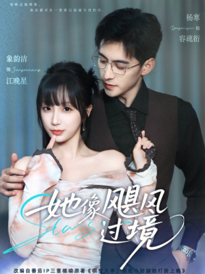 她像飓风过境（81集）哪个短剧网能看