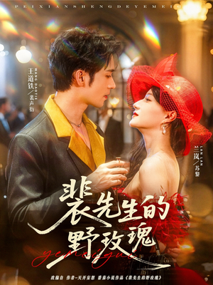 裴先生的野玫瑰（72集）一口气追完短剧