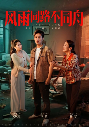 风雨同居不同舟（32集）热播短剧全集看