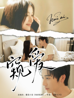 窥爱（96集）古装热门短剧