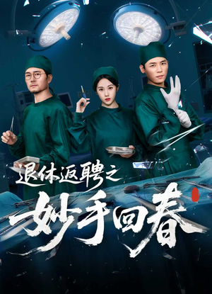 退休返聘之妙手回春（60集）追短剧看全集
