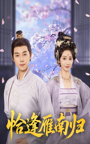 恰逢雁南归（51集）热播短剧重燃