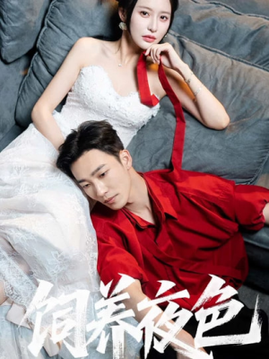 饲养夜色（86集）最新热剧免费看