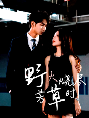 野火烧尽芳草时（65集）每日分享短剧