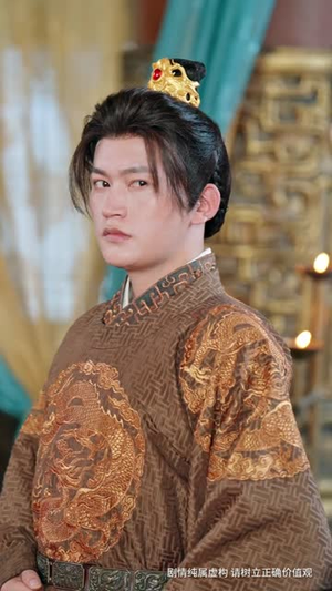 凤鸣向南枝（69集）好看吗