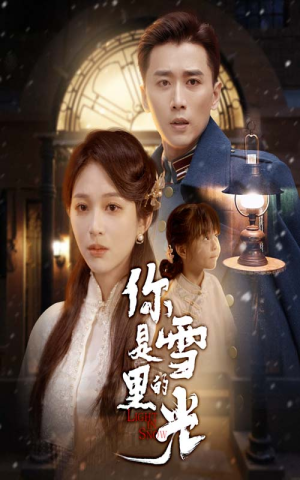 你是雪里的光(64集) 你是雪里的光(64集)最新短剧推荐
