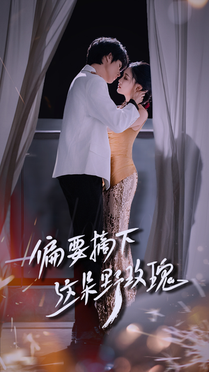 偏要摘下这朵野玫瑰（60集）解说