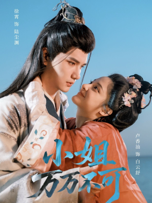 小姐万万不可（74集）免费看全集