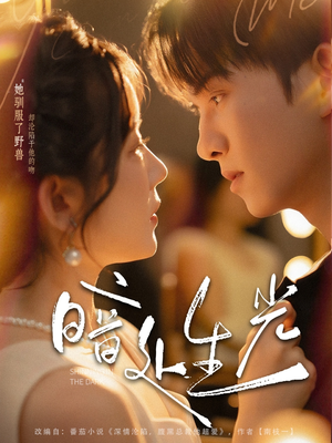 暗处生光（82集）免费短剧大全