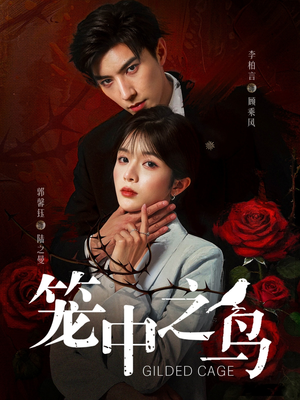 笼中之鸟（70集）火爆短剧推荐