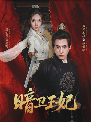 暗卫王妃（60集）百度网盘在线看