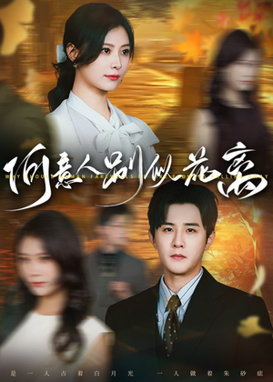 何意人别似花离（61集）常回家看看短剧