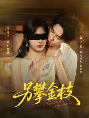 另攀高枝（60集）全部免费看全集