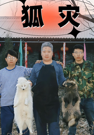 狐灾（25集）一口气追完全集