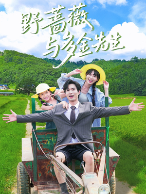 野蔷薇与多金先生（63集）古装短剧热播