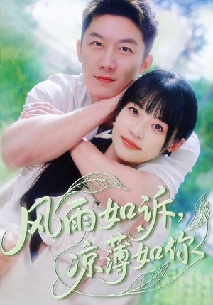 风雨如诉凉薄如你（70集）短视频追剧推荐