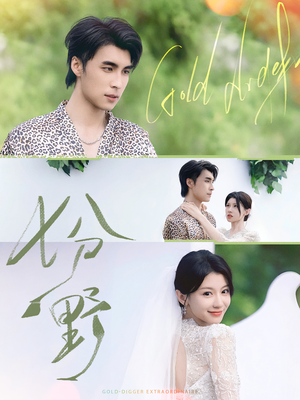 七分野（78集）热播短剧全集看