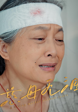 慈母无泪（30集）在哪个app能看