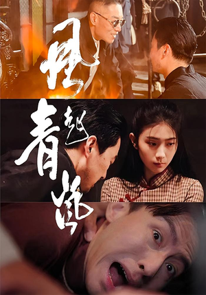 风起青岚（96集）短剧上头又好看