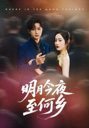 明月今夜至何乡（70集）好看上头的短剧